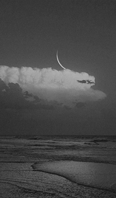 陈某某——医学博士 主任医师 教授