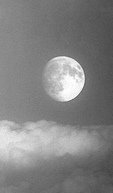 韩某某——外科中医、博士生导师