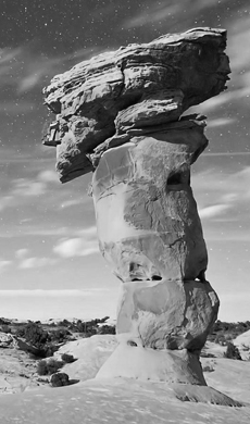 李某某——外科专家、某某系主任